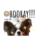 わんぱくさすけ2（個別スタンプ：4）