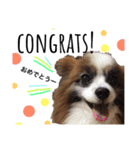 わんぱくさすけ2（個別スタンプ：5）