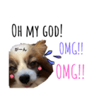 わんぱくさすけ2（個別スタンプ：9）