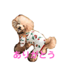 モネちゃんズ（個別スタンプ：1）