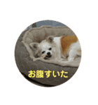 モネちゃんズ（個別スタンプ：6）