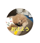 モネちゃんズ（個別スタンプ：8）