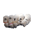 犬 Crystal Dogsの犬たち1（個別スタンプ：19）