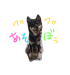黒柴エース（個別スタンプ：7）