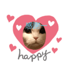 僕のねこ2シエルの日常（個別スタンプ：1）