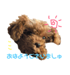 キャバ嬢わんこ♡めいちゃろ〜日常編〜（個別スタンプ：3）