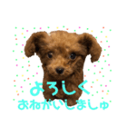 キャバ嬢わんこ♡めいちゃろ〜日常編〜（個別スタンプ：4）