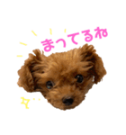 キャバ嬢わんこ♡めいちゃろ〜日常編〜（個別スタンプ：5）
