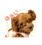 キャバ嬢わんこ♡めいちゃろ〜日常編〜（個別スタンプ：6）