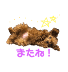 キャバ嬢わんこ♡めいちゃろ〜日常編〜（個別スタンプ：8）