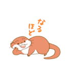 ハイパー動物スタンプ（個別スタンプ：13）