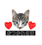 ちーくんスタンプpt3（個別スタンプ：5）
