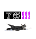 ちーくんスタンプpt3（個別スタンプ：7）