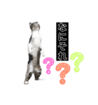 ちーくんスタンプpt3（個別スタンプ：8）