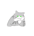 猫文字さん（個別スタンプ：37）