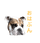 僕、ぶんた。（個別スタンプ：4）