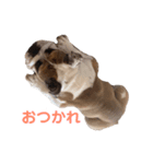 僕、ぶんた。（個別スタンプ：7）
