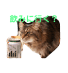 りんごスタンプ第2弾（個別スタンプ：5）