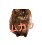 りんごスタンプ第2弾（個別スタンプ：10）