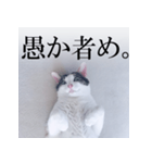あお向け猫 ミウちゃんの辛辣ワード（個別スタンプ：16）