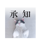 あお向け猫 ミウちゃんの辛辣ワード（個別スタンプ：20）