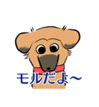 MoneKuroAnnyoMoru（個別スタンプ：1）