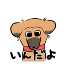 MoneKuroAnnyoMoru（個別スタンプ：3）