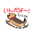 MoneKuroAnnyoMoru（個別スタンプ：5）