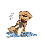 MoneKuroAnnyoMoru（個別スタンプ：7）
