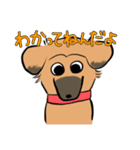 MoneKuroAnnyoMoru（個別スタンプ：11）