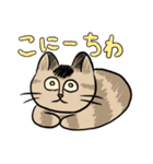 MoneKuroAnnyoMoru（個別スタンプ：14）