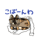 MoneKuroAnnyoMoru（個別スタンプ：15）