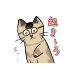 MoneKuroAnnyoMoru（個別スタンプ：24）
