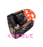 ウーロン君（個別スタンプ：11）