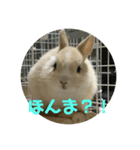 うさぎ関西弁スタンプ（個別スタンプ：8）