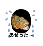 リアルな魚（個別スタンプ：1）