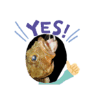 リアルな魚（個別スタンプ：3）