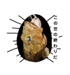 リアルな魚（個別スタンプ：9）