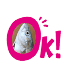 リアルな魚（個別スタンプ：14）