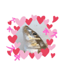リアルな魚（個別スタンプ：18）