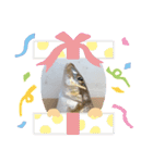 リアルな魚（個別スタンプ：20）