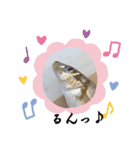 リアルな魚（個別スタンプ：21）