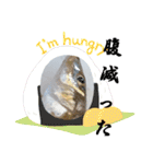 リアルな魚（個別スタンプ：24）