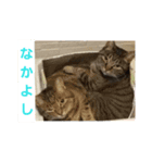 太仁田ブ厚の可愛い仲間たち～その1～（個別スタンプ：3）