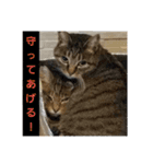 太仁田ブ厚の可愛い仲間たち～その1～（個別スタンプ：4）