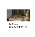 太仁田ブ厚の可愛い仲間たち～その1～（個別スタンプ：5）
