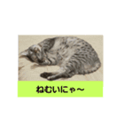 太仁田ブ厚の可愛い仲間たち～その1～（個別スタンプ：6）