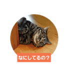 太仁田ブ厚の可愛い仲間たち～その1～（個別スタンプ：7）