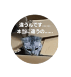 太仁田ブ厚の可愛い仲間たち～その1～（個別スタンプ：8）