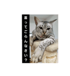 太仁田ブ厚の可愛い仲間たち～その1～（個別スタンプ：9）